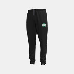 UA Vanish Woven Collegiate Men's Pants